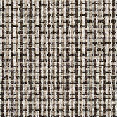 Charlotte Fabrics 5812 Desert Check