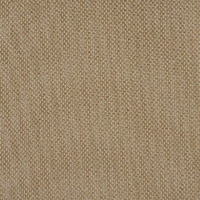 Charlotte Fabrics 6973 Fawn