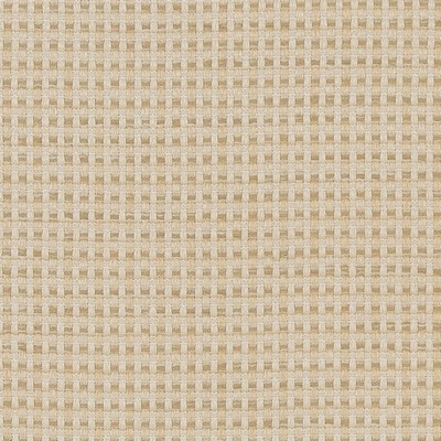 Charlotte Fabrics CB700-374 374