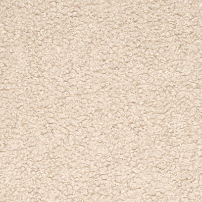 Charlotte Fabrics CB800-482 