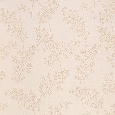 Charlotte Fabrics CB800-488 