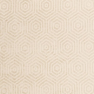 Charlotte Fabrics CB800-491 