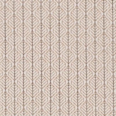 Charlotte Fabrics CB800-498 