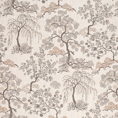 Charlotte Fabrics CB900-171 