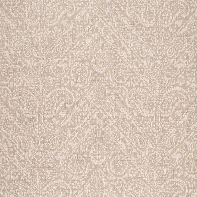 Charlotte Fabrics CB900-179 