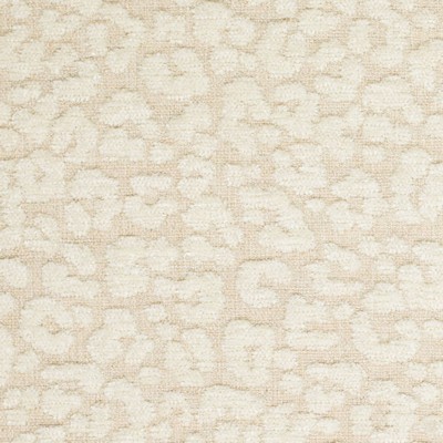 Charlotte Fabrics CB900-180 