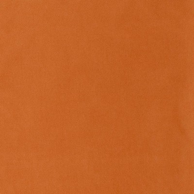 Charlotte Fabrics D1482 Apricot