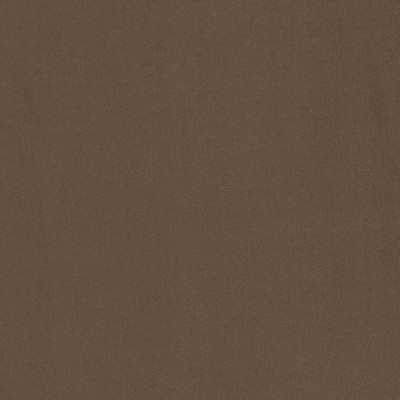 Charlotte Fabrics D2111 Latte