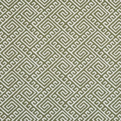 Charlotte Fabrics D2553 Lime