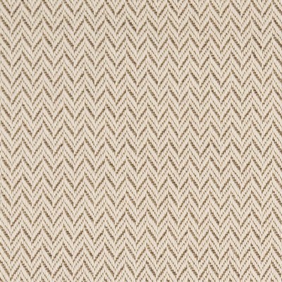 Charlotte Fabrics D2582 Chevron Cafe