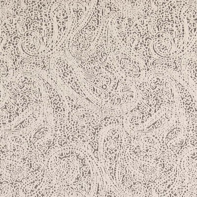 Charlotte Fabrics D2592 Paisley Coal