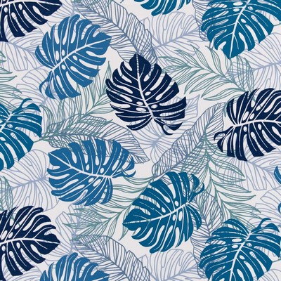 Charlotte Fabrics D2739 Lake