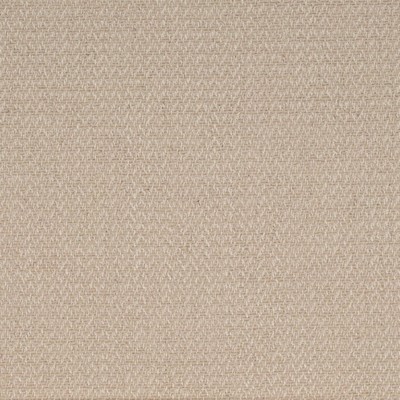 Charlotte Fabrics D4252 Fawn