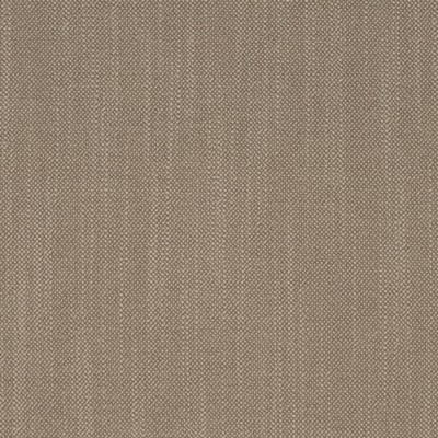 Charlotte Fabrics D4256 Clay