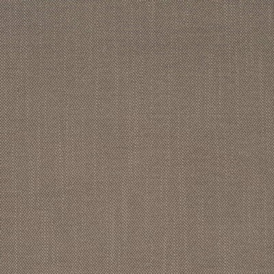 Charlotte Fabrics D4257 Pumice