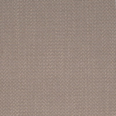 Charlotte Fabrics D4261 Driftwood