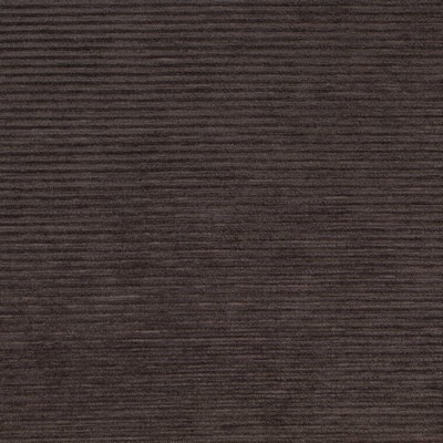 Charlotte Fabrics D4262 Cocoa