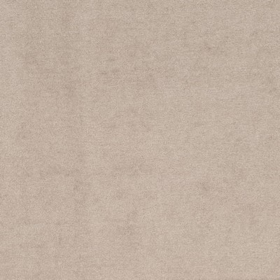 Charlotte Fabrics D4270 Dove