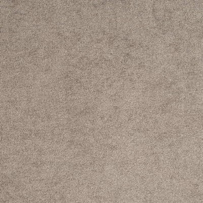 Charlotte Fabrics D4271 Platinum