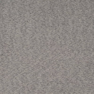 Charlotte Fabrics D4284 Silver