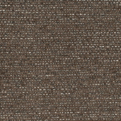 Charlotte Fabrics D4294 Sable