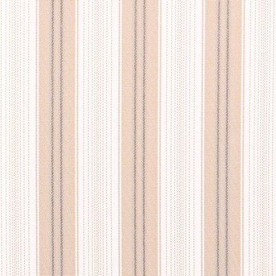 Charlotte Fabrics D4307 Fawn