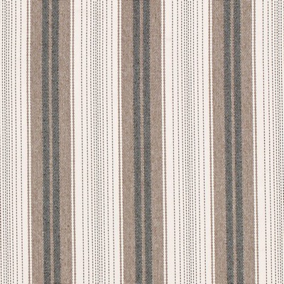 Charlotte Fabrics D4309 Cocoa