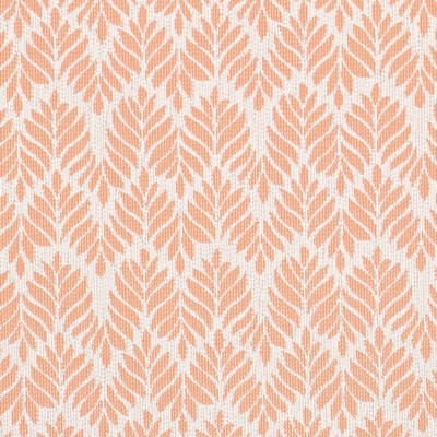 Charlotte Fabrics D4311 Shell