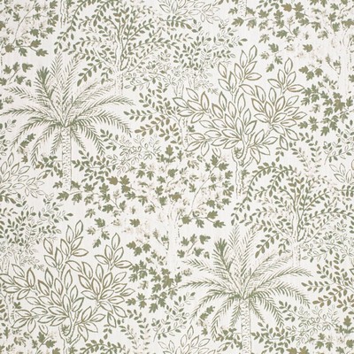 Charlotte Fabrics D4332 Palm