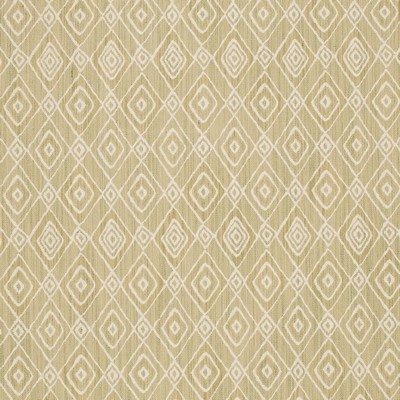 Charlotte Fabrics D4335 Pistachio