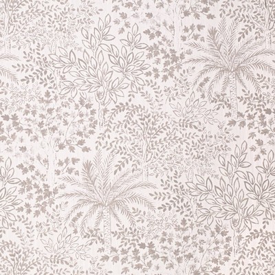 Charlotte Fabrics D4341 Dove