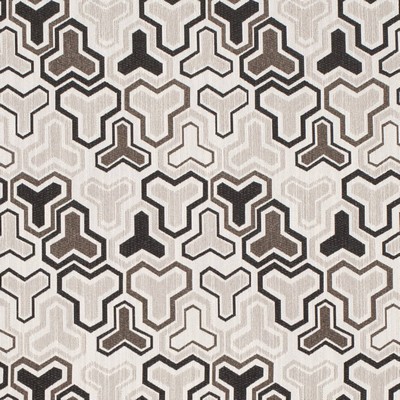 Charlotte Fabrics D4343 Raven