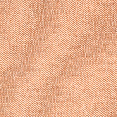 Charlotte Fabrics D4456 Peach