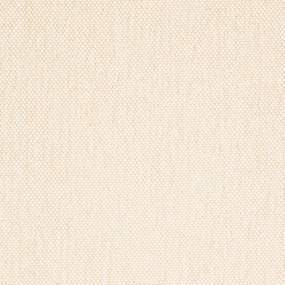 Charlotte Fabrics D4459 Linen