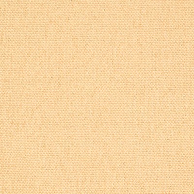 Charlotte Fabrics D4461 Khaki