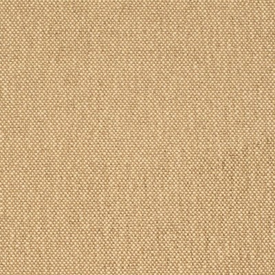 Charlotte Fabrics D4464 Latte