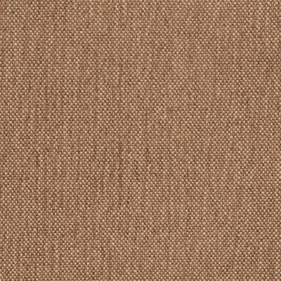 Charlotte Fabrics D4467 Espresso