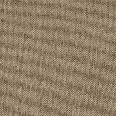 Charlotte Fabrics D4472 Mink