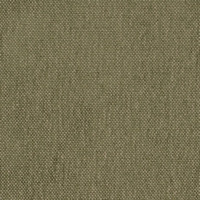 Charlotte Fabrics D4474 Moss