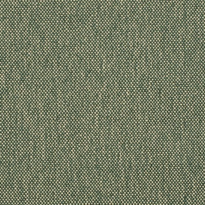 Charlotte Fabrics D4475 Hunter