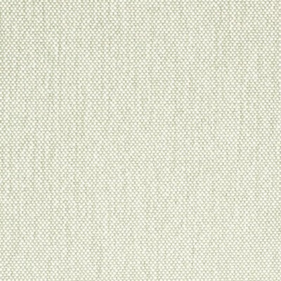 Charlotte Fabrics D4476 Celadon