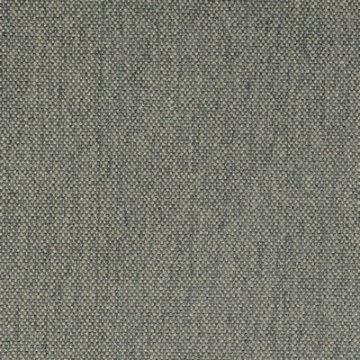 Charlotte Fabrics D4478 Slate