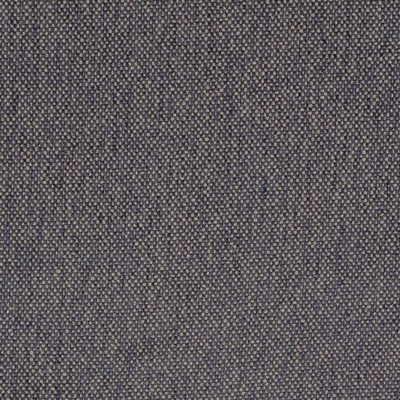 Charlotte Fabrics D4479 Navy