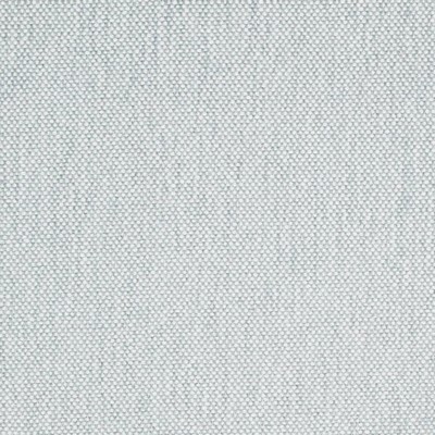 Charlotte Fabrics D4484 Mist