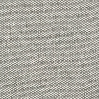 Charlotte Fabrics D4486 Pewter