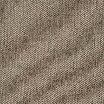 Charlotte Fabrics D4487 Stone