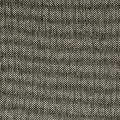 Charlotte Fabrics D4488 Zinc