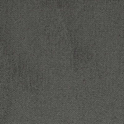 Charlotte Fabrics D4489 Steel