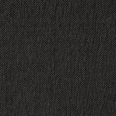 Charlotte Fabrics D4490 Onyx