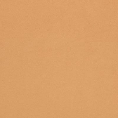 Charlotte Fabrics D4499 Camel